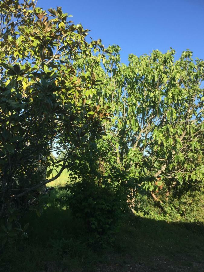 La Croix Blanche Bed & Breakfast Eksteriør bilde